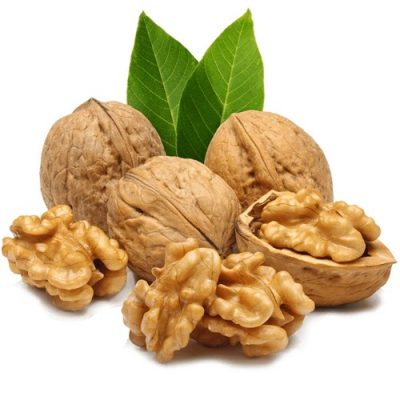 Công dụng quả óc chó